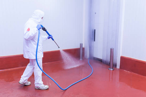 Trusted Ponca City, OK Pressure Washing Services Experts